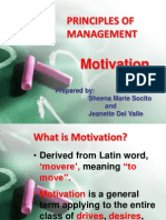 Principles of Management: Motivation