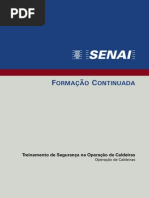 Combust�o em Caldeiras.pdf