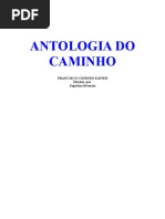 Xavier Candido F Antologia Do Caminho