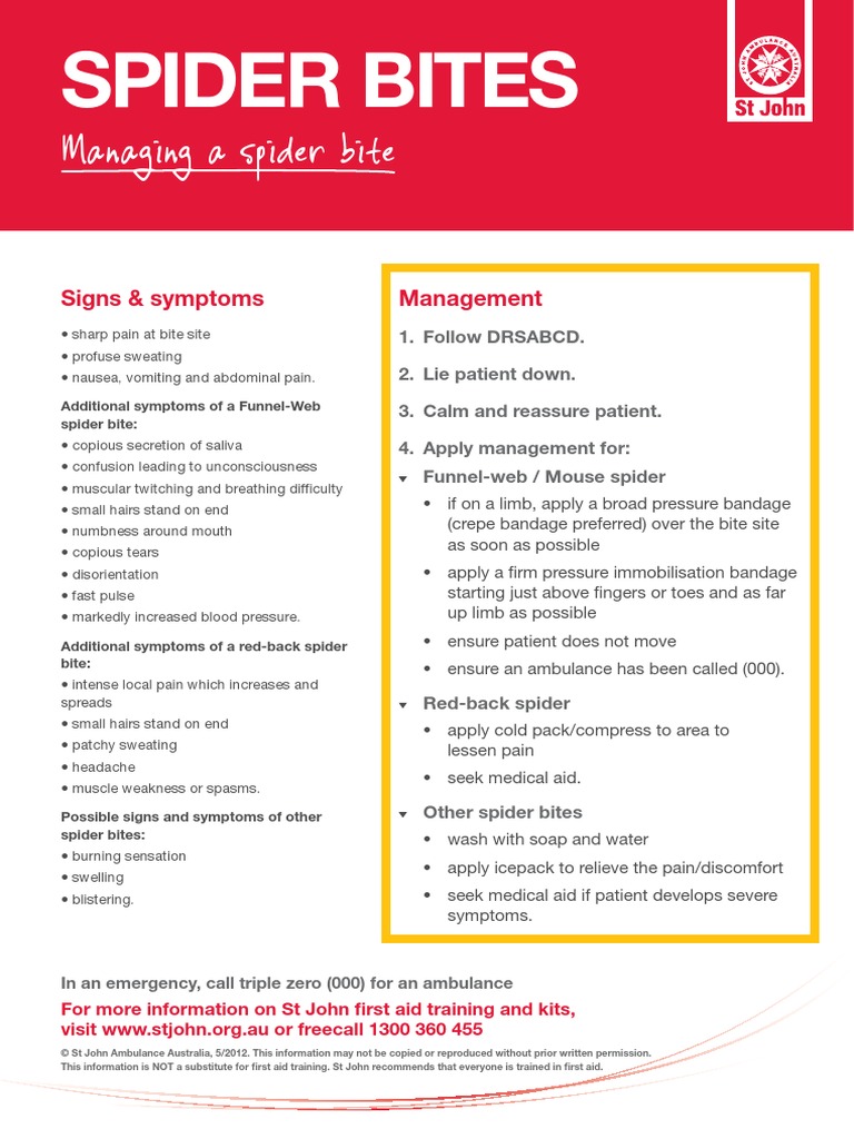 Spider Bite Symptoms and Management Guide | PDF