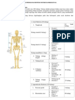 Anfis Muskuloskeletal Yufi Luthfia Rahmy 220110100070