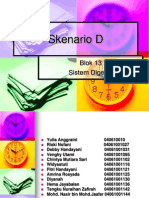 Skenario D