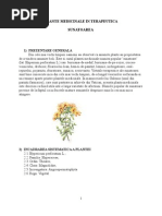 plante medicinale-sunatoarea-