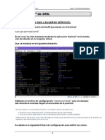 Practica 0 de DNS
