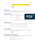 Modelo Currículum Vitae Americano