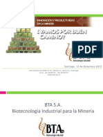 20121214105734_Presentación BTA Cochilco