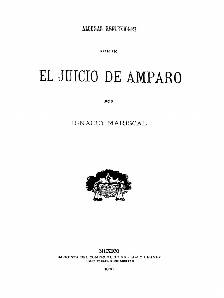 Reflexiones sobre el Juicio de Amparo | PDF | Esfera pública | Ley común