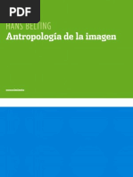 Hans Belting, Antropología de La Imagen (Fragmento)