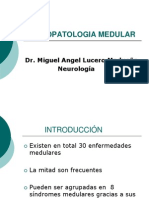 neuropatologiadelamedulaespinal-110312161157-phpapp01