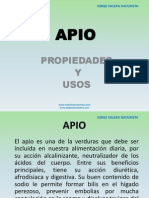 Apiojv 121025103054 Phpapp02