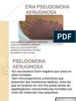 Bacteria Pseudomonas Aeruginosa Diapositiva 12