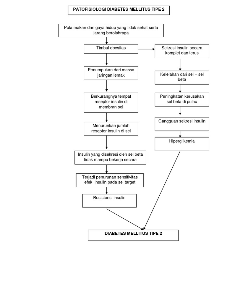 Patofisiologi Diabetes Melitus Tipe 2