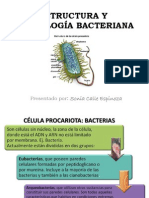 Estructura y Morfologia Bacteriana
