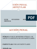 Accion Penal Particular