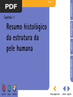 capitulo 1 lesões elementares da pele