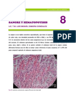Medicina.unmsm.edu.Pe-publicaiones_online-LIBRO HISTOLOGIA-Sangre Hematopoyesis Capitulo 8.PDF