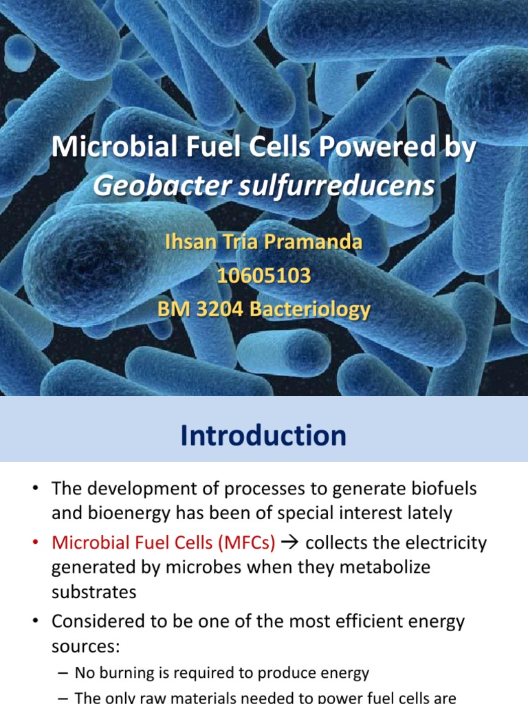 Microbial Fuel Cell Biofilm Bacteria