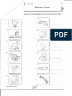 Science Year 2c PDF