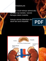 Adrenal