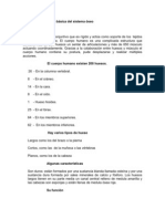 Anatomia y Fisiologia Basica Del Sistema Oseo y Reflexologia