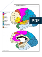 Areas de Brodmann (1)