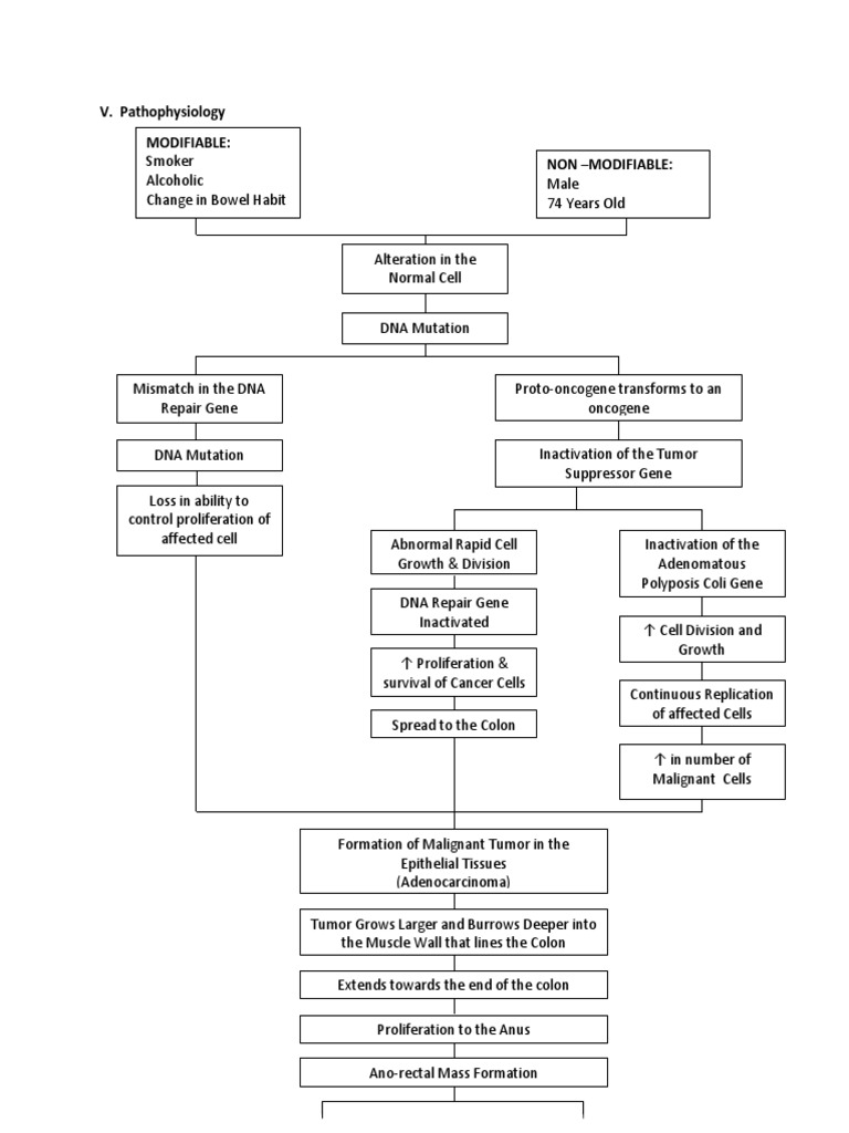 V. Pathophysiology Modifiable: Non - Modifiable | PDF