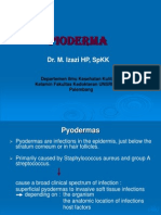 Pioderma 2013