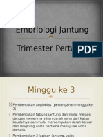 Embriologi Jantung