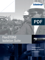 Schlumberger - Flex Stone Isolation Suite