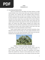 Download Pra Rancangan Pabrik Biodiesel Jarak by Mudzofar Sofyan SN170617781 doc pdf