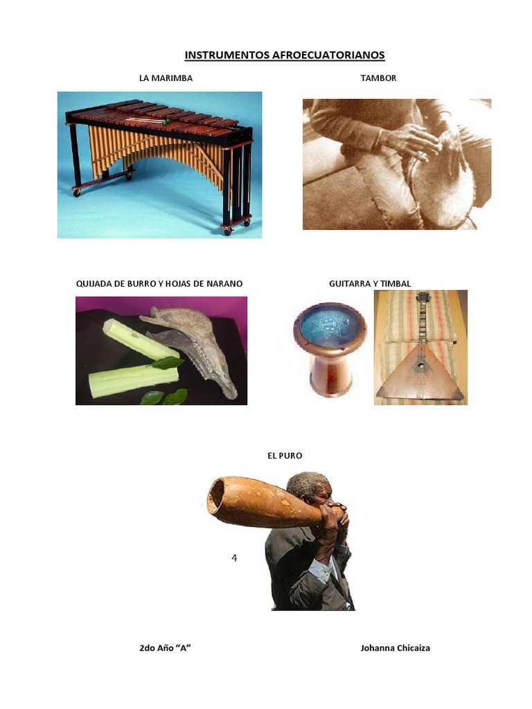 Instrumentos Musicales Afroecuatorianos | PDF