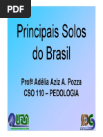 Principais Solos Do Brasil
