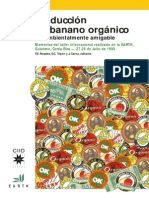 Cultivo de Banano Orgánico en Costa Rica