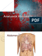 Anatomía Abdominal - PPSX