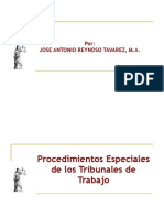 Procedimientos Especiales Ante Los Tribunales Laborales