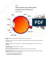 Sistema Visual