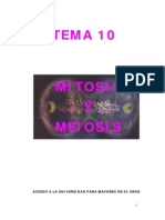 Mitosis y Meiosis PDF