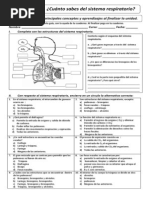 Guia 5º Formativa Sistema Repiratorio