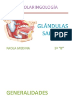 Glndulassalivalesembriologaanatomayfisiologa 100718035842 Phpapp02