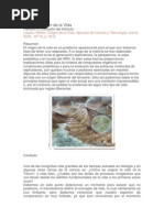 El Origen de La Vida