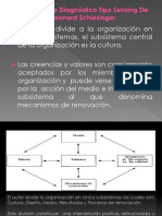 Modelo de Diagnóstico Tipo Sensing de Leonard Schiesinger