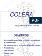 colera2009-091007165723-phpapp02