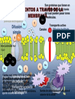 Pasodesustanciasmembrana