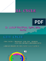 Blok 9 - IT 6 - Siklus Sel Dan Pengaturannya - JF