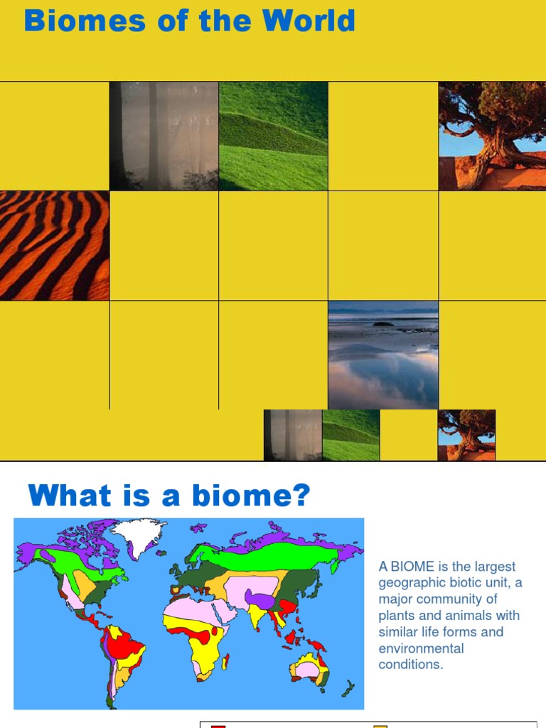 Biomes | PDF | Climate | Rain