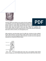 Peritoneum dan organ abdominal dalam