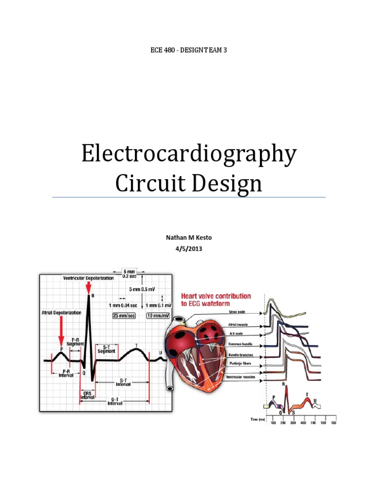 Electro Cardiograph y Circuit Design | Amplifier | Electrocardiography