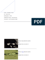 Kaolinite: Sheet Silicates Triclinic/monoclinic (-)