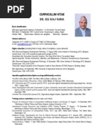 World Bank CV Template | PDF | Project Management