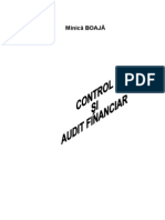 Control Si Audit Financiar